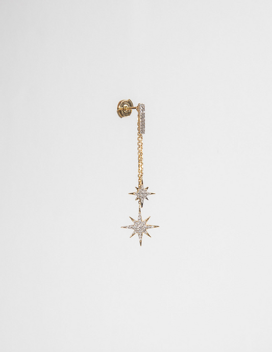 The Dancing Stars earrings