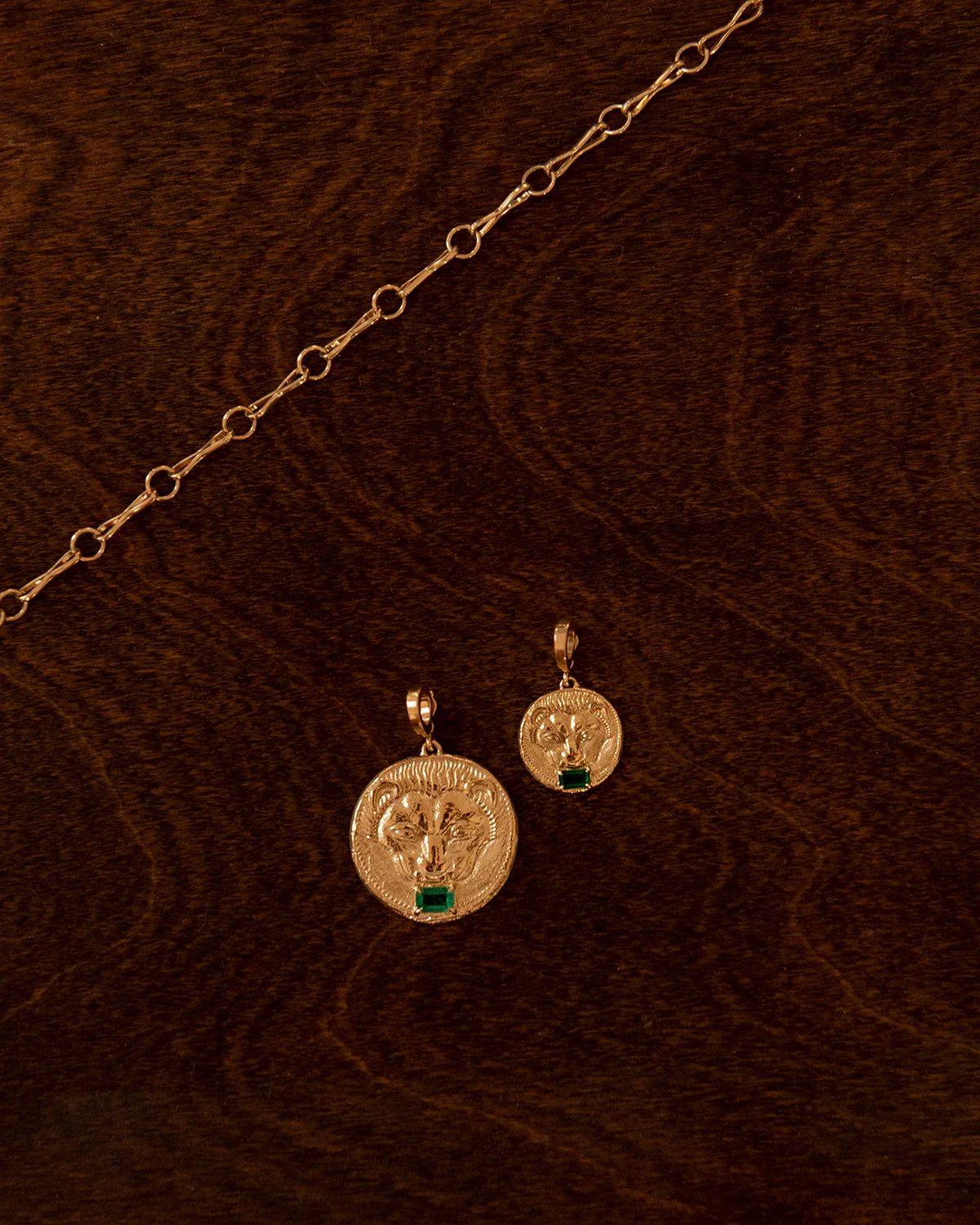 Lion Small Emerald Coin Charm