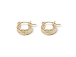 Load image into Gallery viewer, Chubby Huggy Hoops Earring
